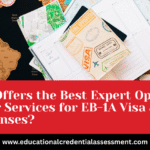 expert opinion letter guidance for EB-1A visa and RFE responses