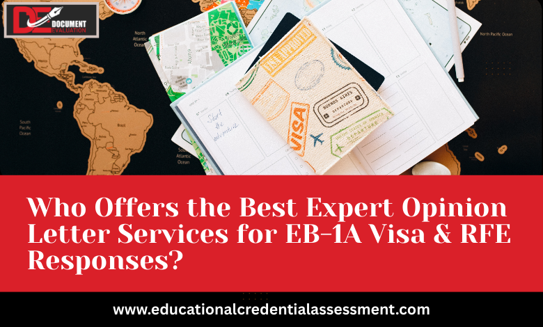 expert opinion letter guidance for EB-1A visa and RFE responses