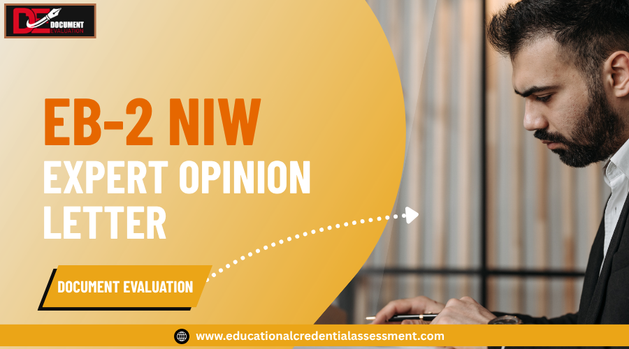 Expert Opinion Letter for EB2 NIW immigration case review