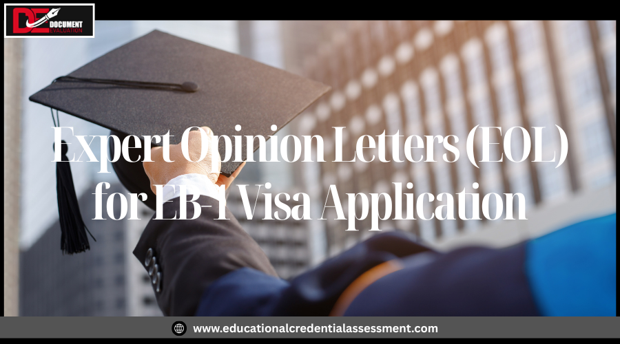 Supporting documents for EB1 approval organized for USCIS petition review
