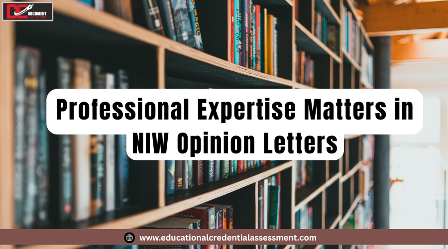 Hire expert for NIW letter to strengthen an EB2 NIW petition